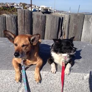 Meet your Posher, Kamala